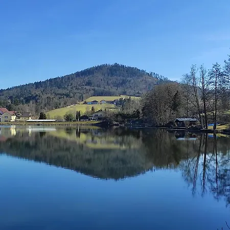 Bayernwald 201 Mit Pool Und Sauna Apartment *