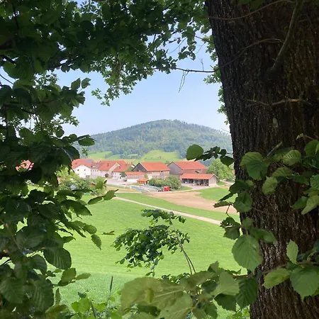 Bayernwald 201 Mit Pool Und Sauna
